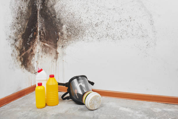 Best Emergency Mold Removal  in Shrewsbury, NJ