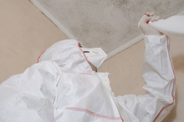 Best Office Mold Removal Services  in Shrewsbury, NJ